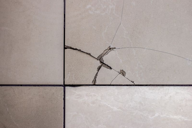 Tile Repair in Progress